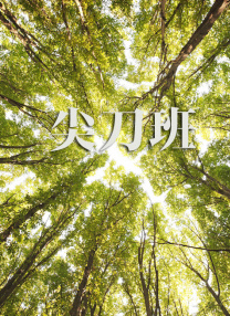 最好看的电影2018中文